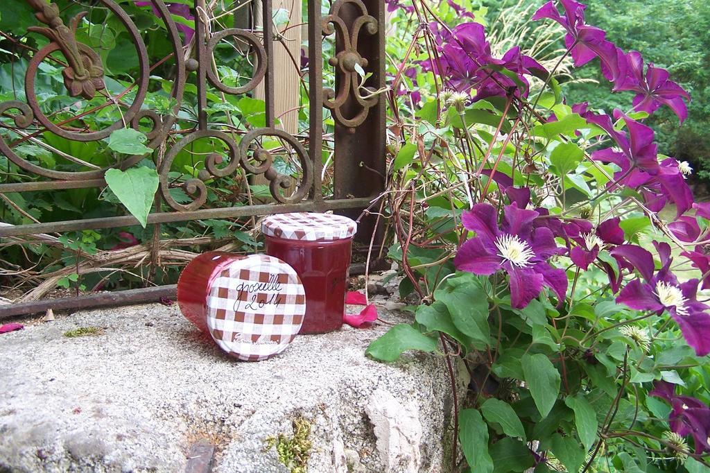 Domaine De Salomony Villa Marcols-les-Eaux Luaran gambar